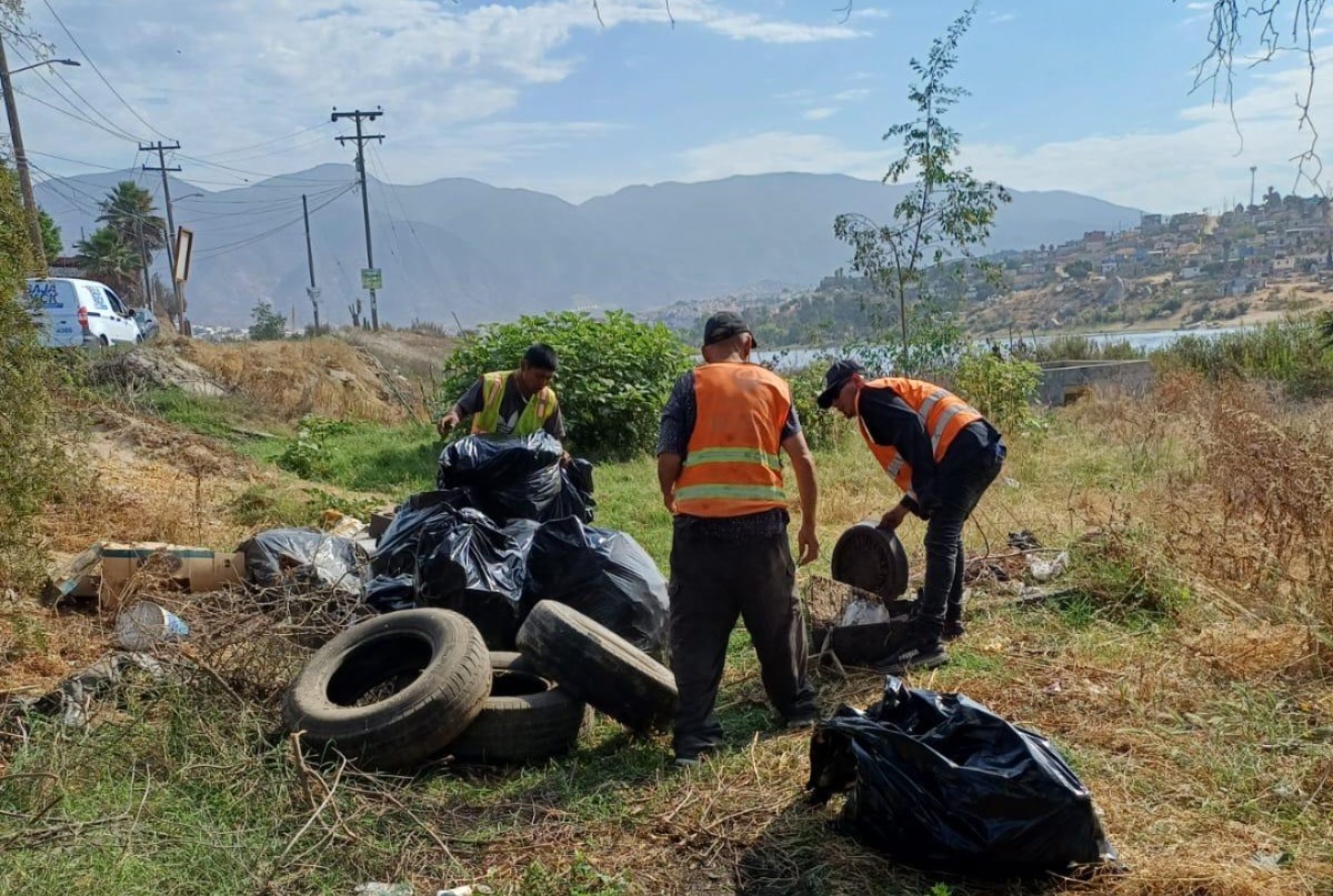 WhatsApp Image 2025-07-18 at 11.50.51 AM