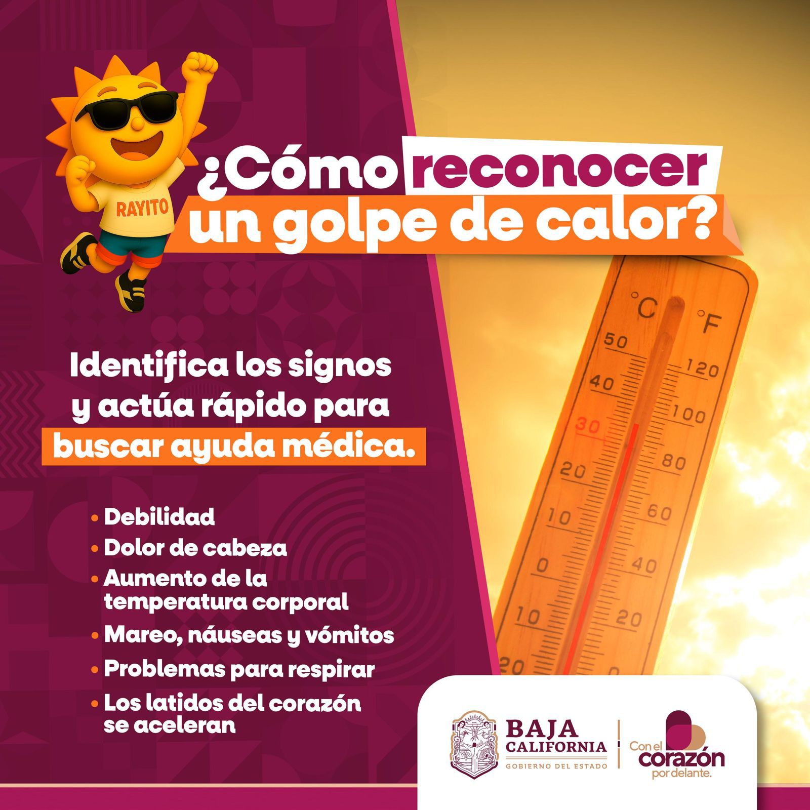 WhatsApp Image 2025-07-19 at 5.00.29 PM