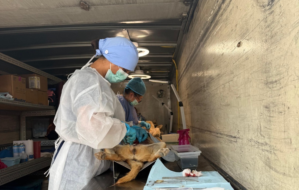 WhatsApp Image 2025-07-24 at 2.03.52 PM