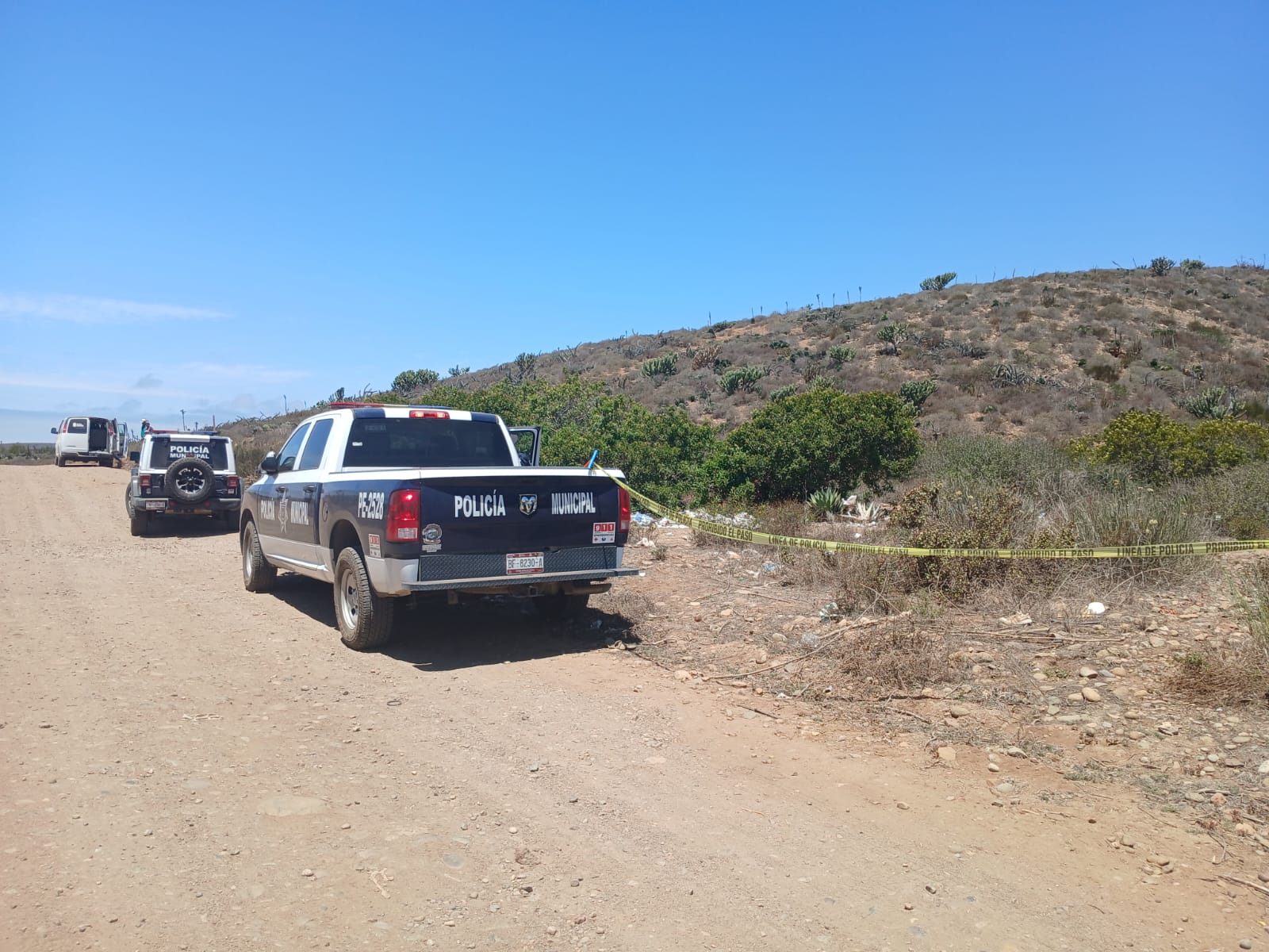 WhatsApp Image 2025-07-24 at 5.24.14 PM