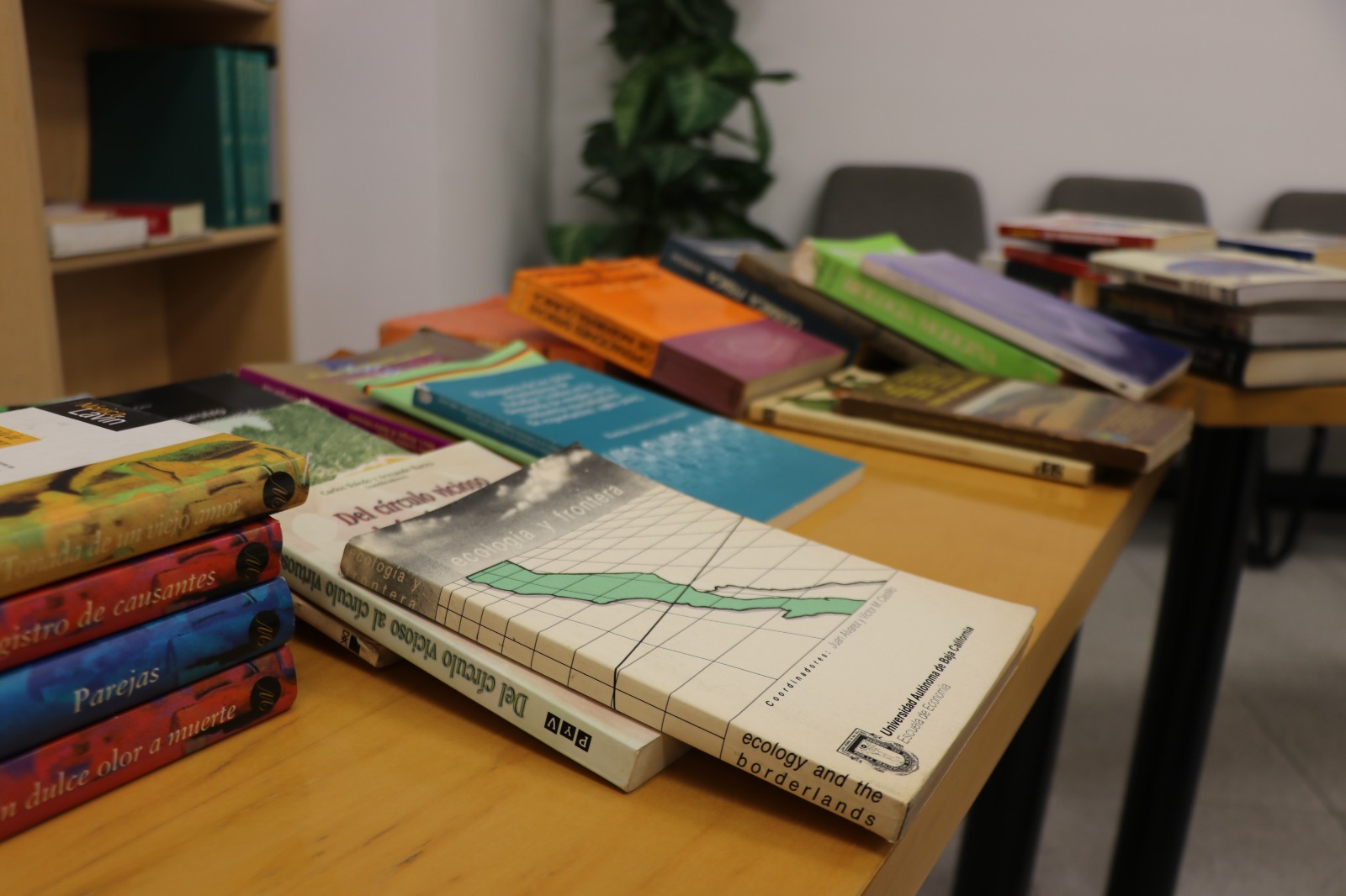 WhatsApp Image 2025-07-24 at 5.31.24 PM