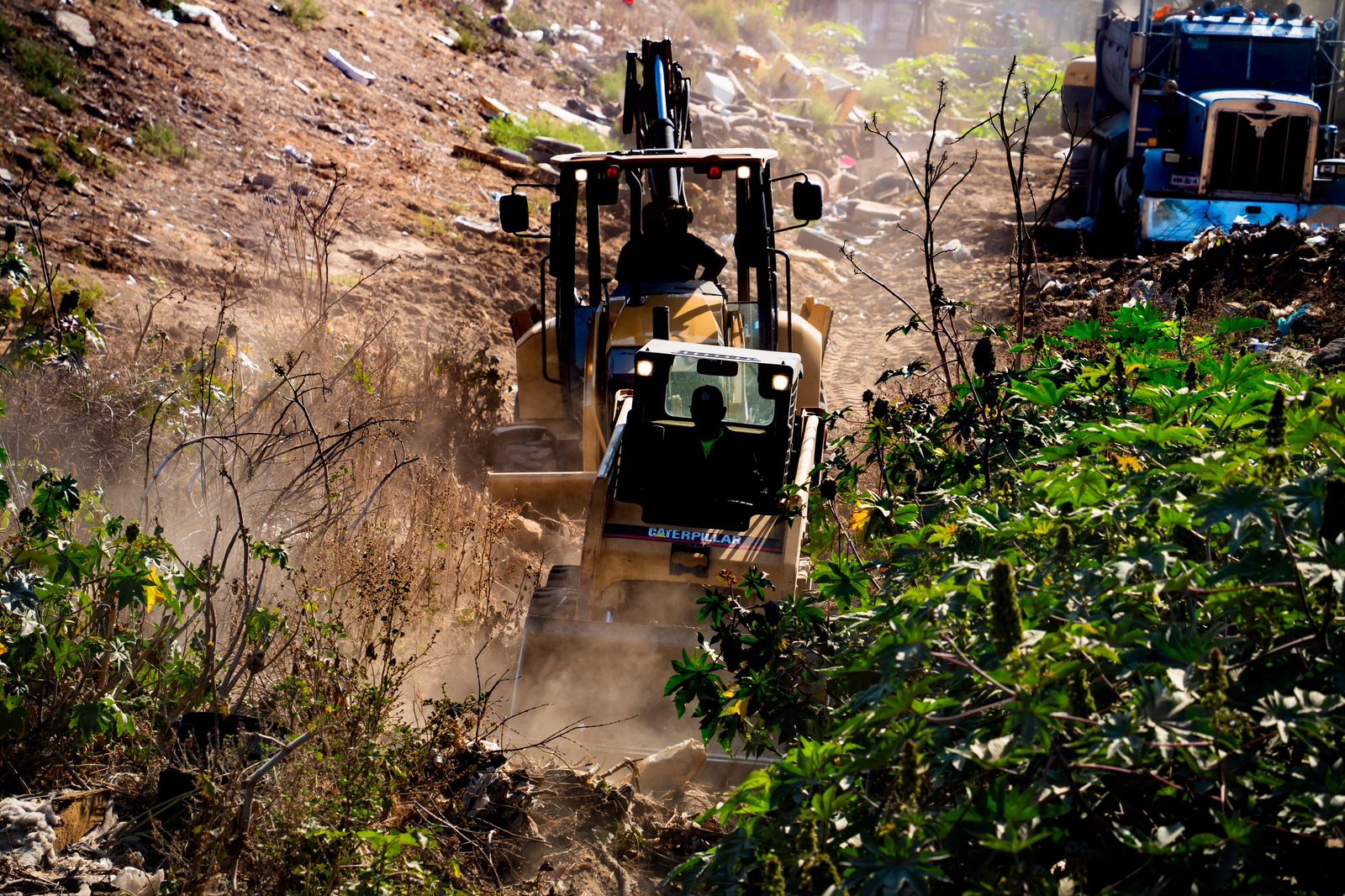 WhatsApp Image 2025-07-24 at 9.14.24 PM