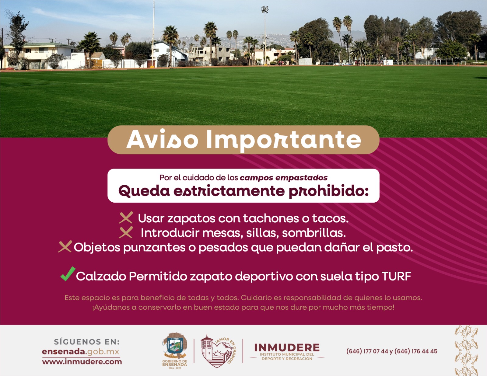 WhatsApp Image 2025-07-25 at 1.54.22 PM