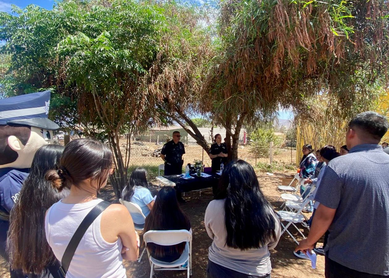 WhatsApp Image 2025-07-27 at 1.53.31 PM (1)