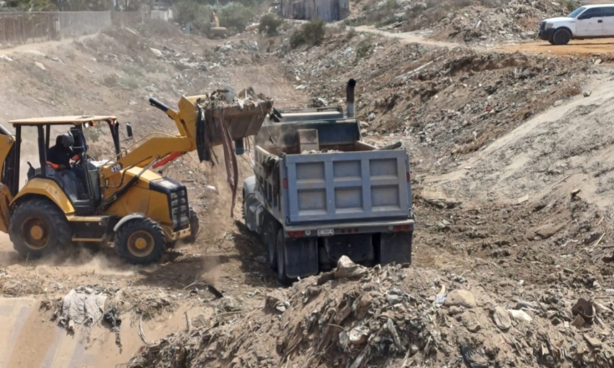 WhatsApp Image 2025-07-29 at 2.51.00 PM (1)