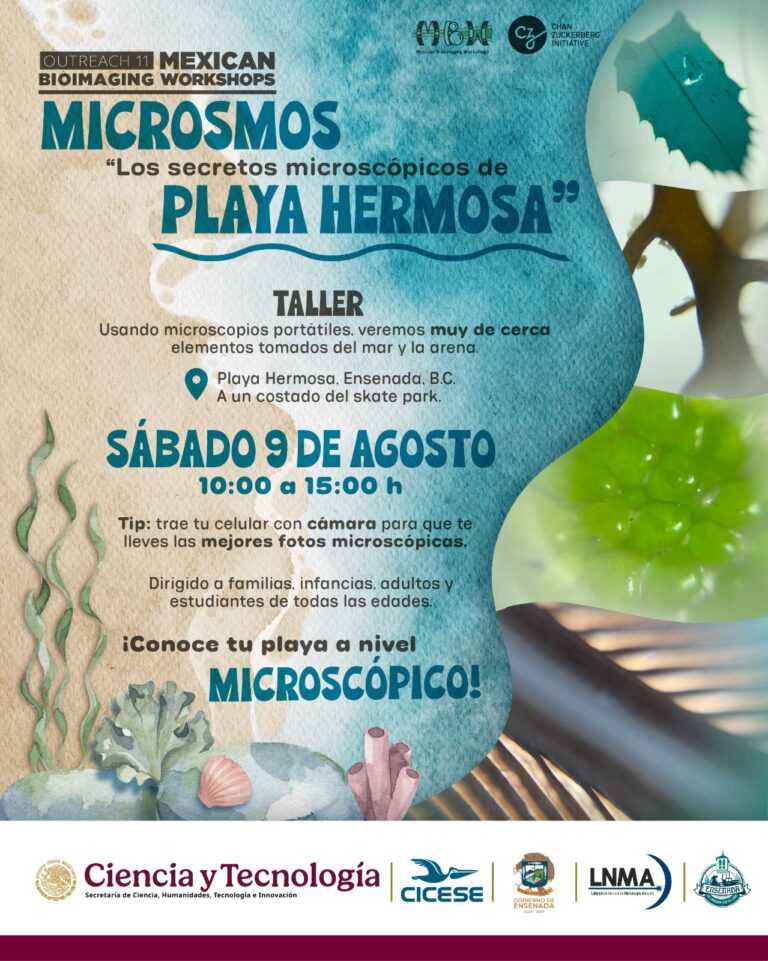 WhatsApp Image 2025-08-07 at 11.51.52 AM