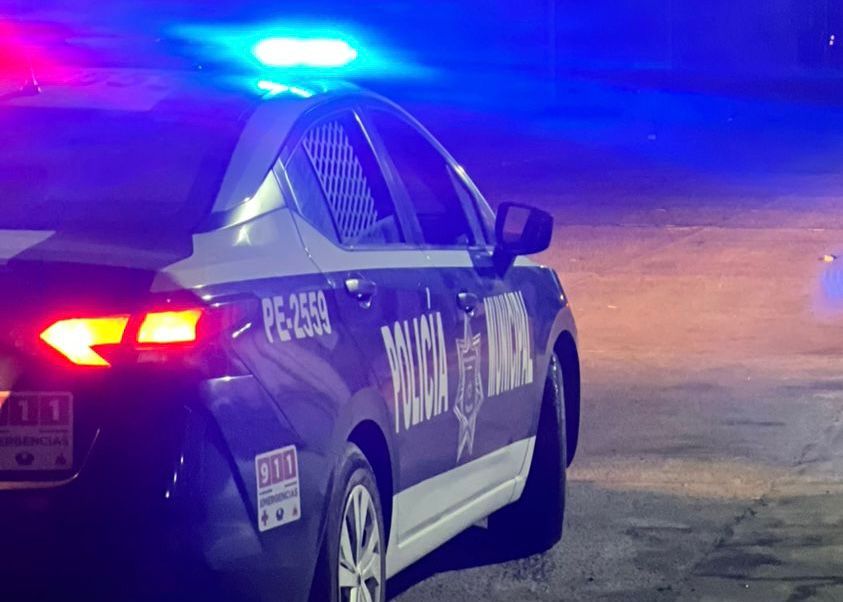 WhatsApp Image 2025-08-15 at 1.31.44 PM