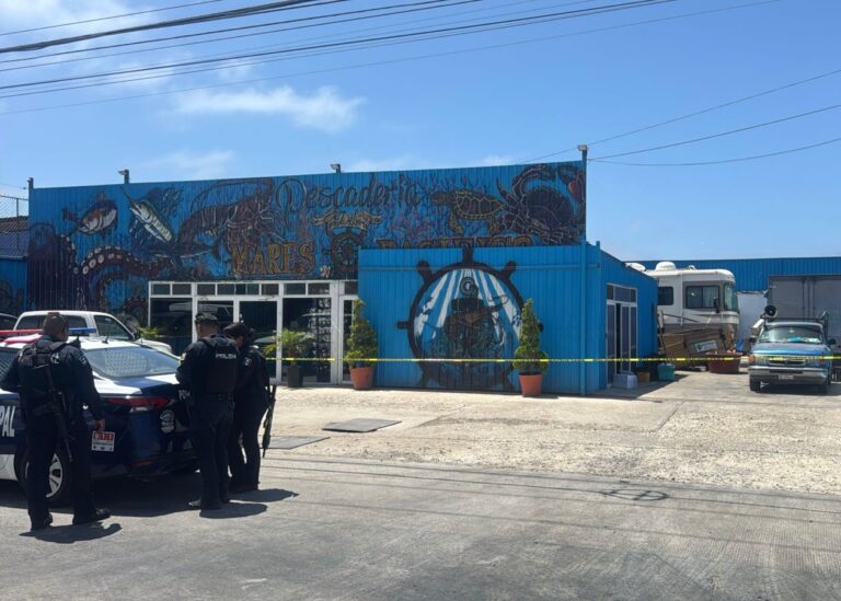 WhatsApp Image 2025-08-18 at 2.15.16 PM