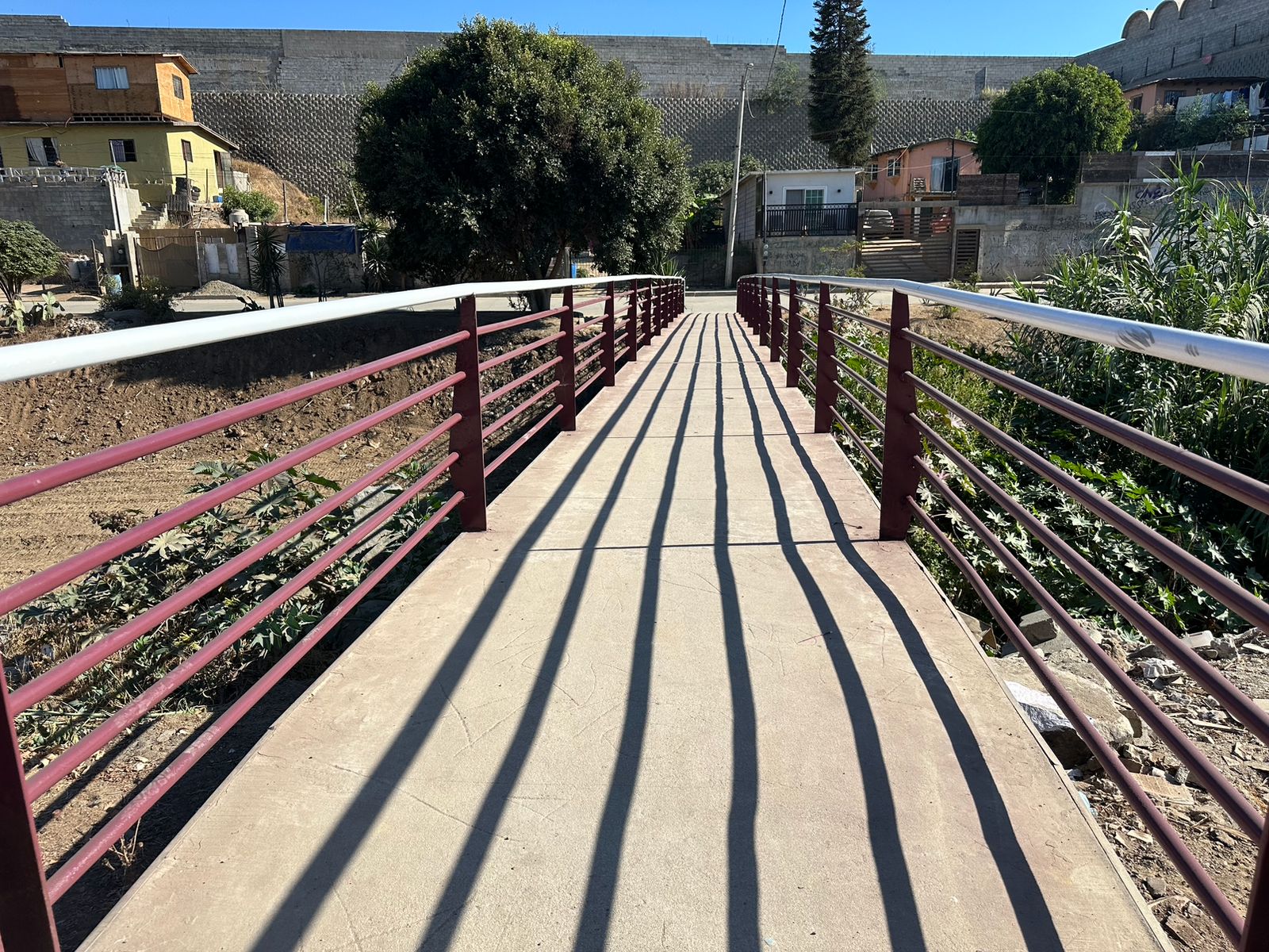 WhatsApp Image 2025-08-19 at 1.29.20 PM