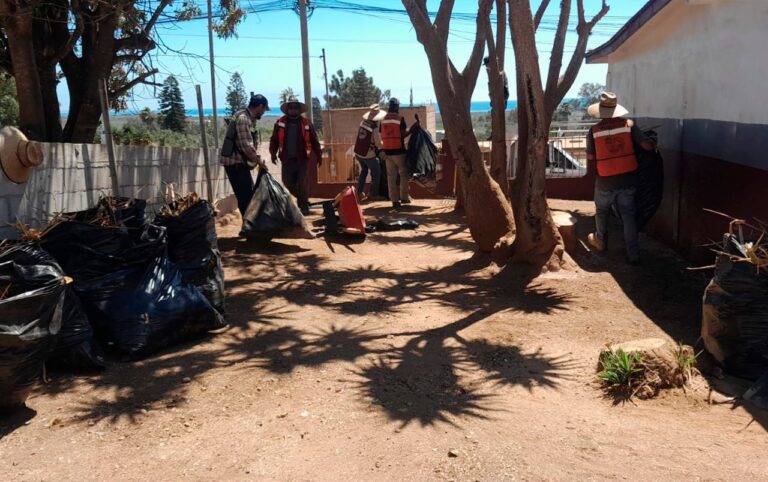 WhatsApp Image 2025-08-20 at 6.21.47 PM