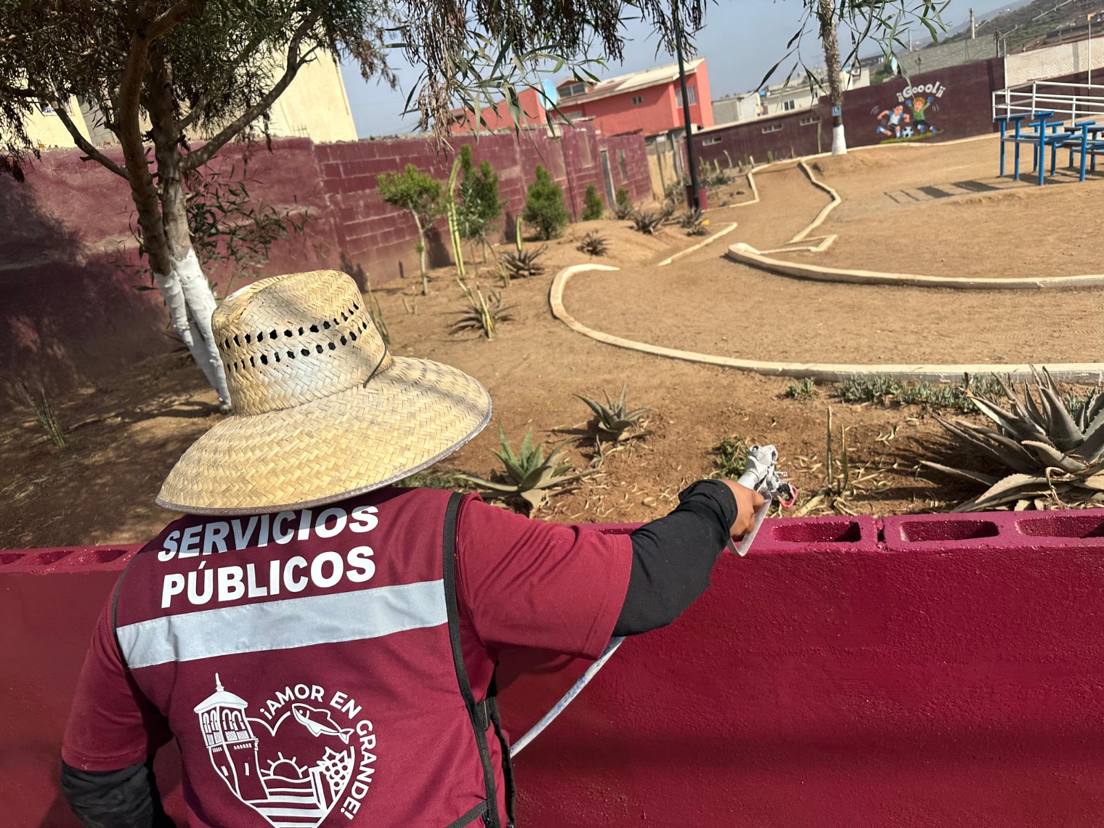 WhatsApp Image 2025-08-22 at 11.08.51 AM