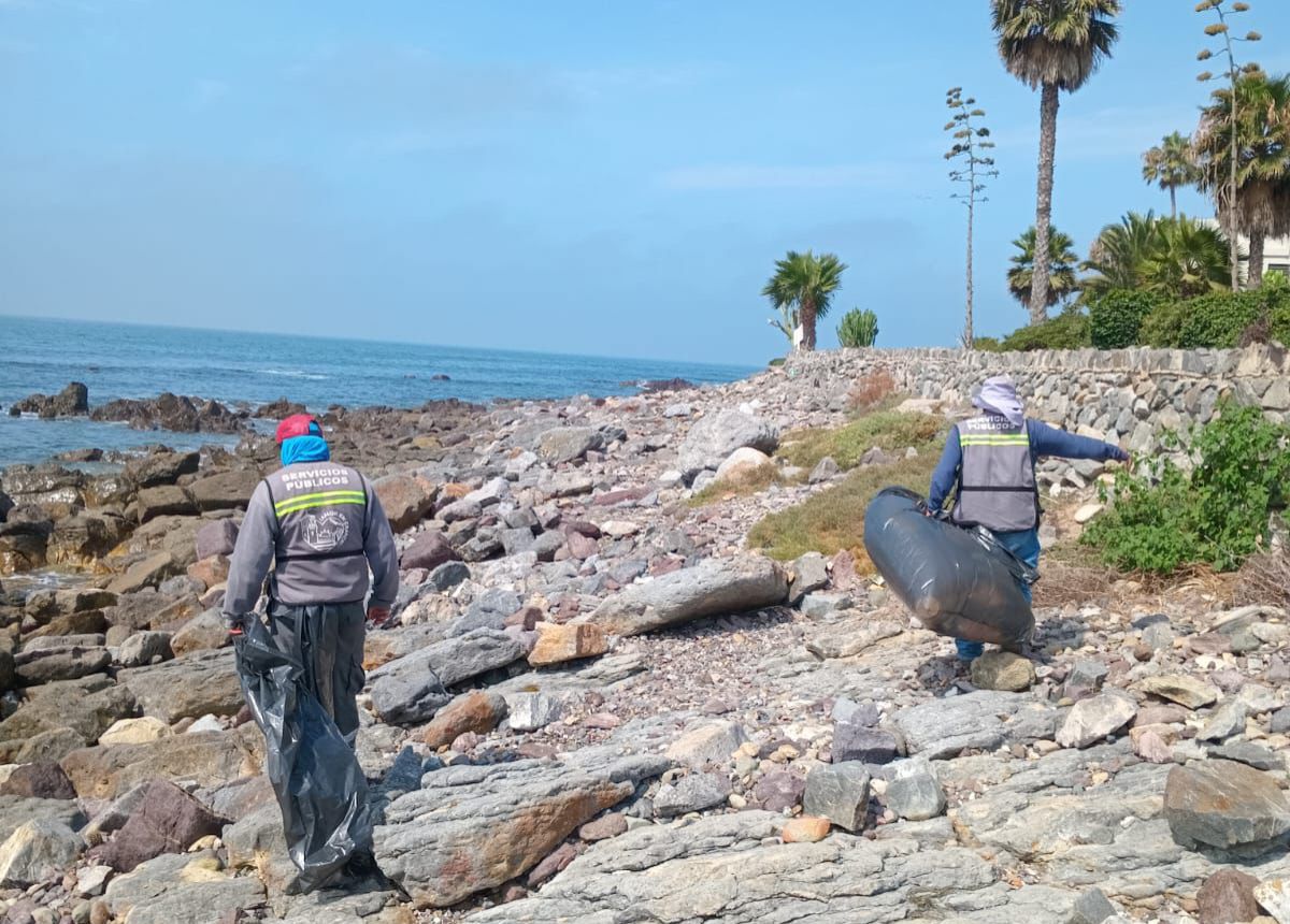 WhatsApp Image 2025-08-24 at 2.42.58 PM (1)