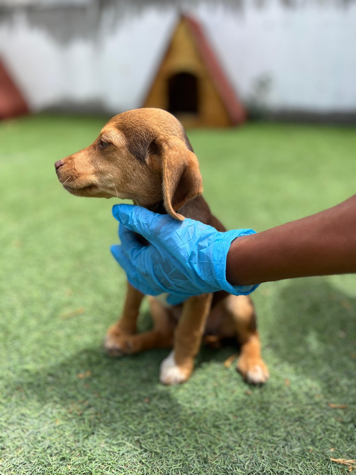 WhatsApp Image 2025-08-26 at 1.40.51 PM