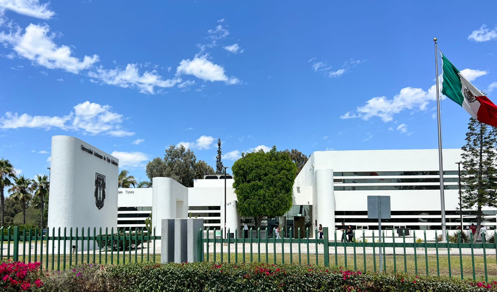 WhatsApp Image 2025-08-26 at 3.56.43 PM