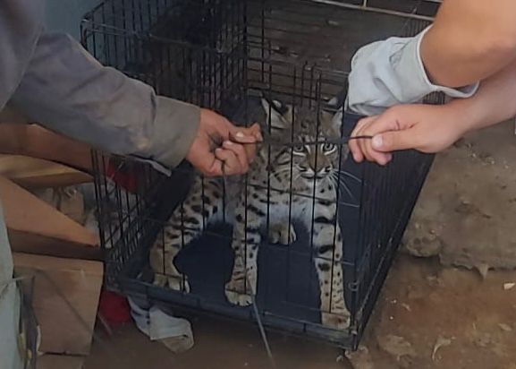 WhatsApp Image 2025-08-27 at 1.09.02 PM