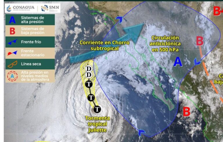 WhatsApp Image 2025-08-27 at 7.48.16 PM