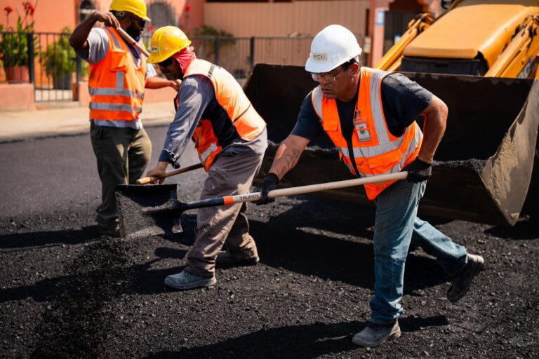 WhatsApp Image 2025-08-28 at 12.11.57 PM