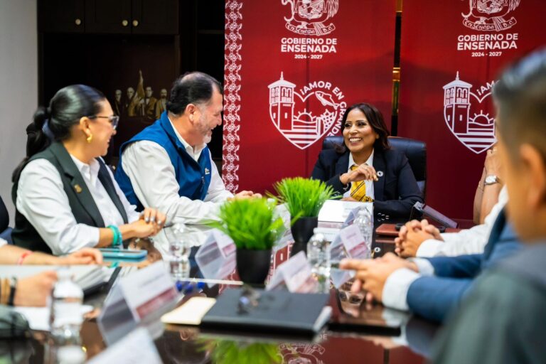 WhatsApp Image 2025-08-28 at 4.16.33 PM (1)