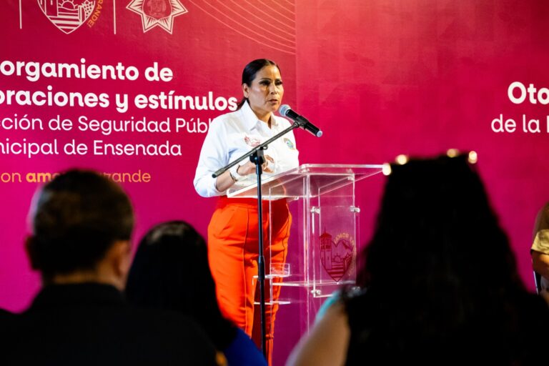 WhatsApp Image 2025-08-29 at 7.49.00 PM (1)