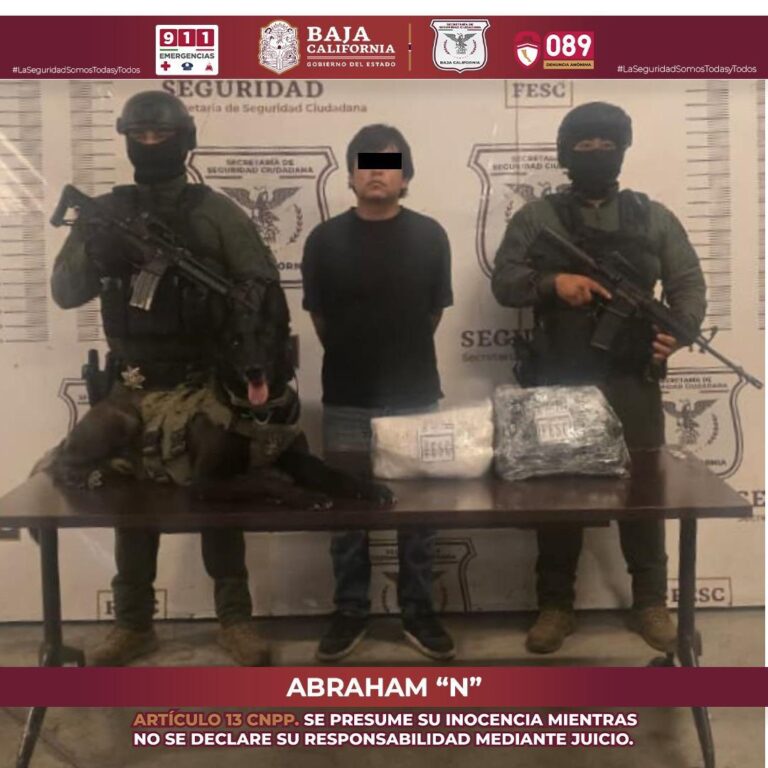 WhatsApp Image 2025-08-31 at 7.52.13 PM