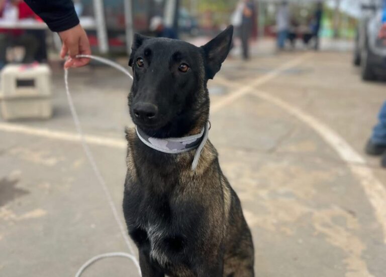 WhatsApp Image 2025-08-31 at 7.54.55 PM (1)