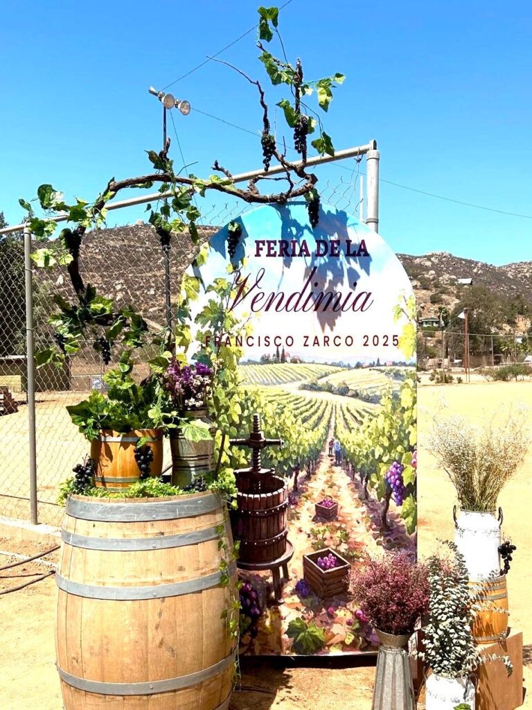 WhatsApp Image 2025-09-01 at 1.27.14 PM