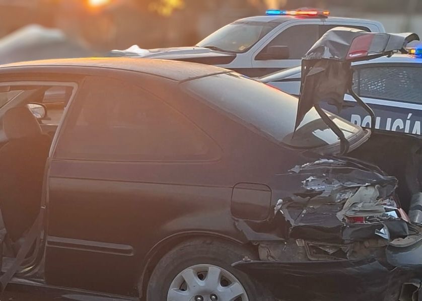 WhatsApp Image 2025-09-01 at 3.14.53 PM