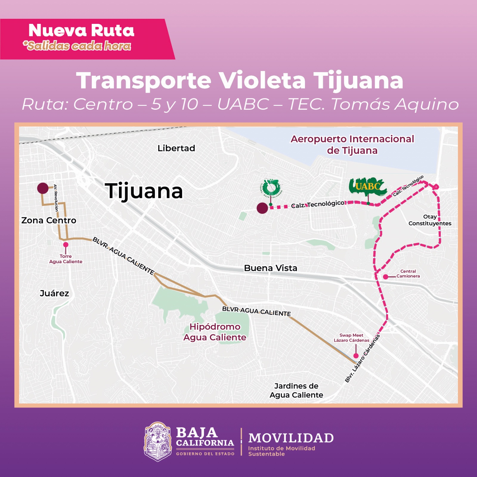 WhatsApp Image 2025-09-03 at 1.22.13 PM