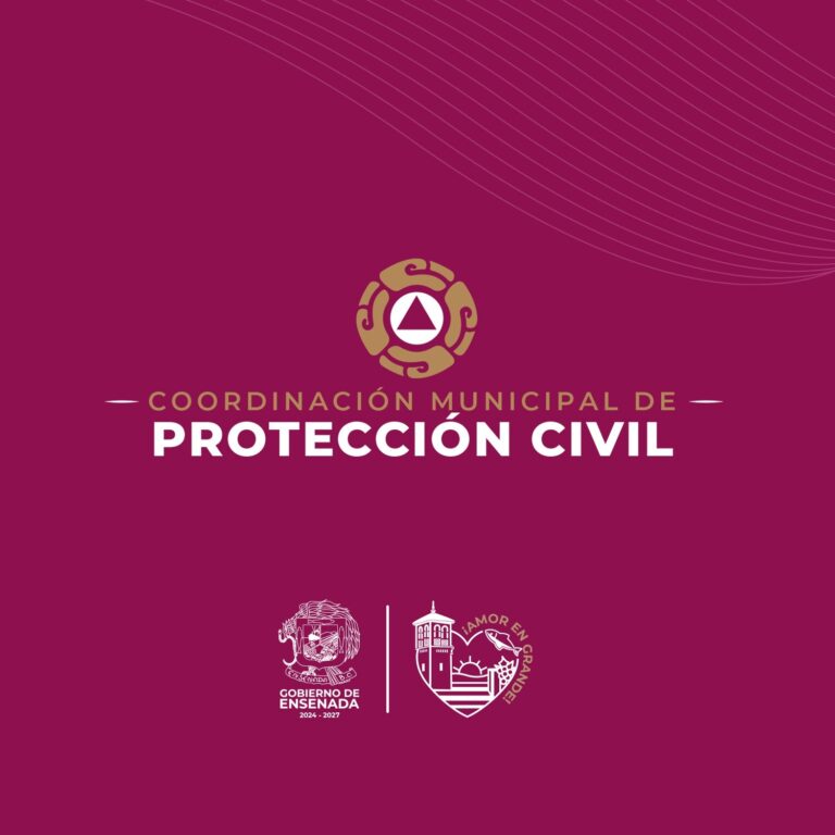 WhatsApp Image 2025-09-03 at 3.02.41 PM