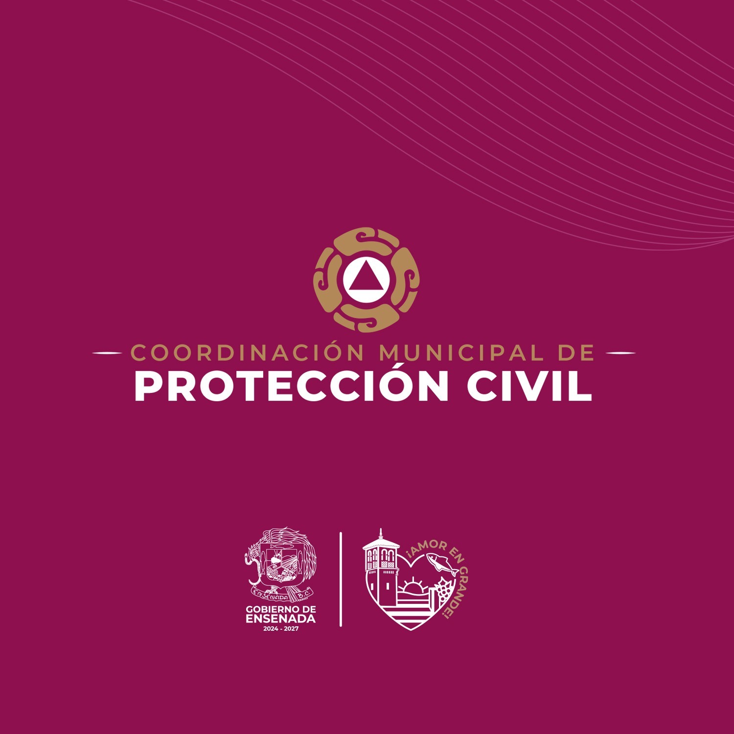 WhatsApp Image 2025-09-03 at 3.02.41 PM