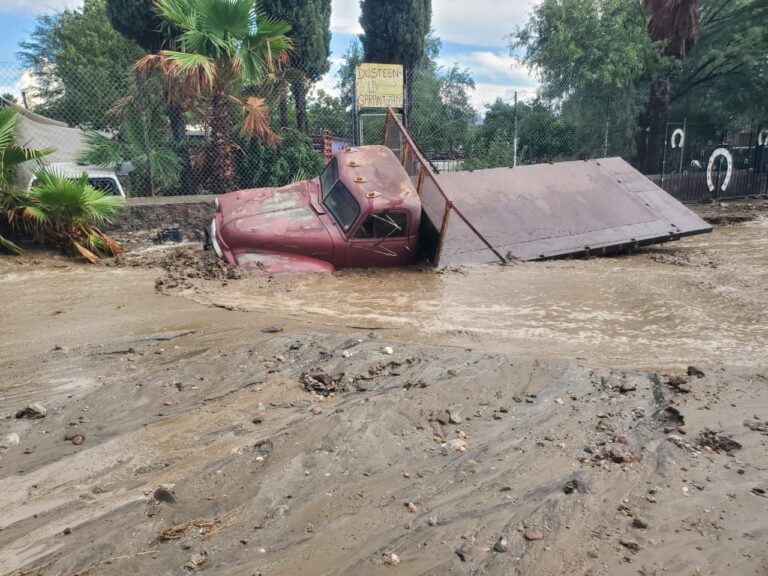 WhatsApp Image 2025-09-04 at 5.44.37 PM