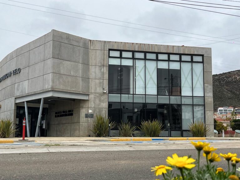 WhatsApp Image 2025-09-05 at 2.33.35 PM (1)