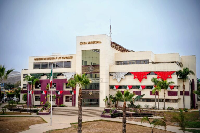 WhatsApp Image 2025-09-05 at 2.33.35 PM