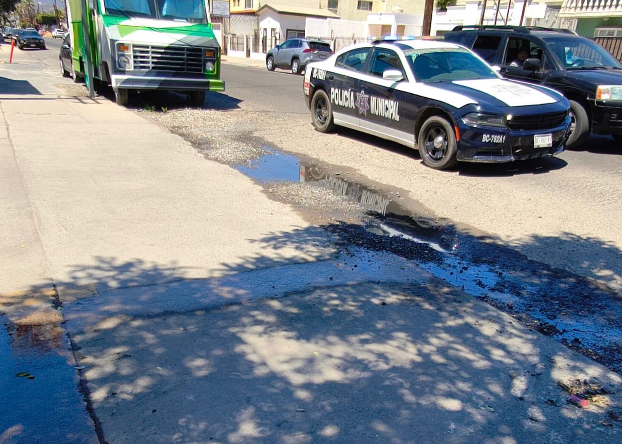 WhatsApp Image 2025-09-09 at 7.37.58 PM