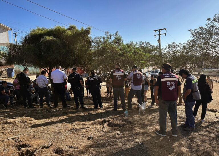 WhatsApp Image 2025-09-10 at 1.50.16 PM (2)