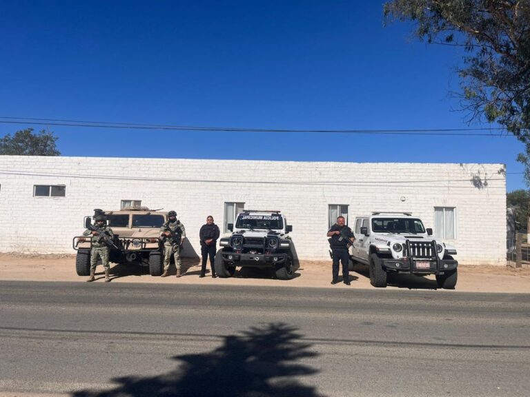 WhatsApp Image 2025-09-10 at 3.55.50 PM