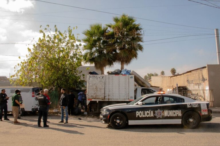 WhatsApp Image 2025-09-11 at 4.07.01 PM