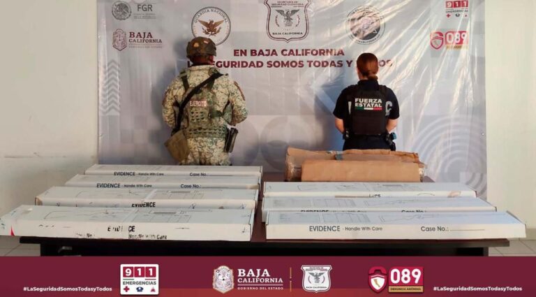 WhatsApp Image 2025-09-11 at 4.08.30 PM