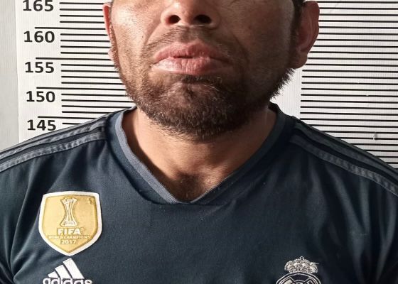 WhatsApp Image 2025-09-12 at 2.31.36 PM