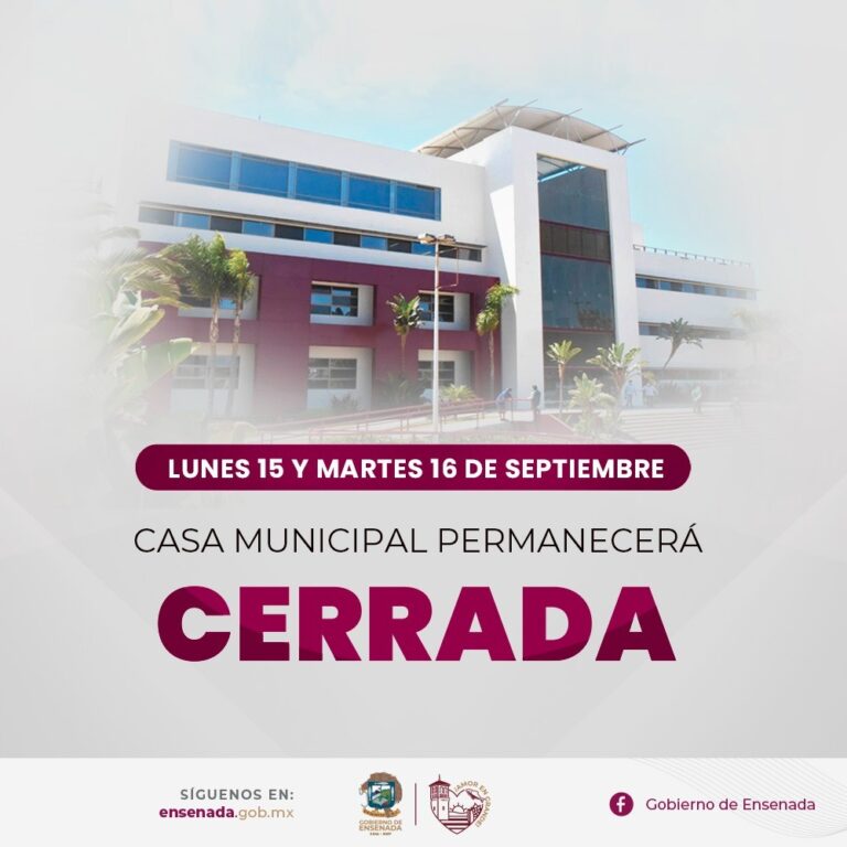 WhatsApp Image 2025-09-12 at 2.32.27 PM