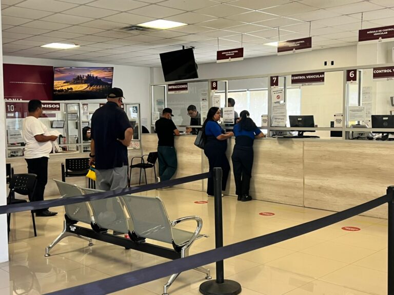 WhatsApp Image 2025-09-12 at 2.32.49 PM