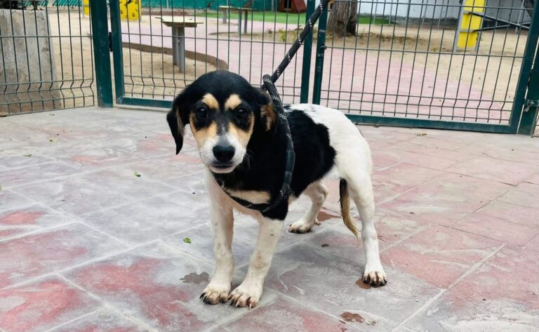 WhatsApp Image 2025-09-14 at 11.03.09 AM