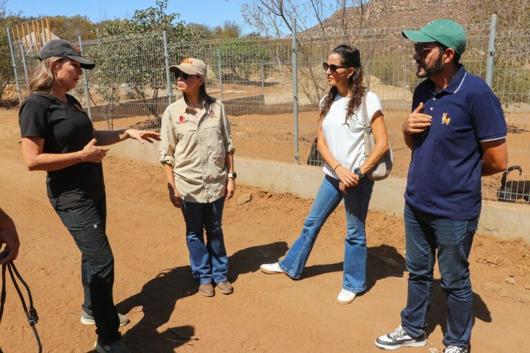 WhatsApp Image 2025-09-14 at 6.28.25 PM