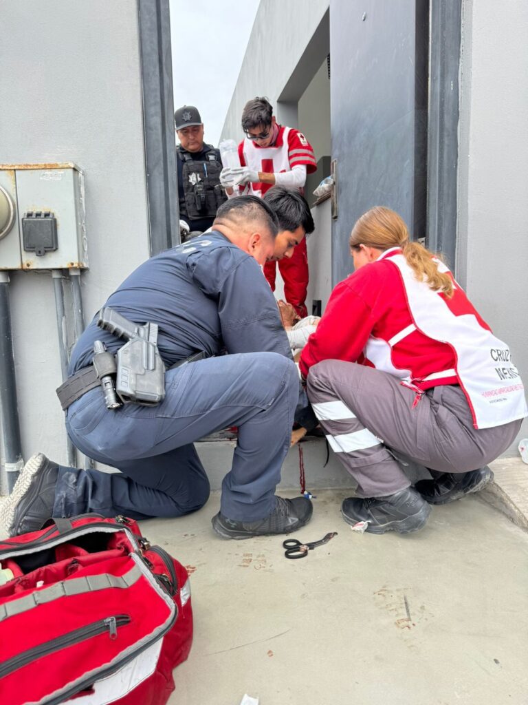 WhatsApp Image 2025-09-17 at 1.33.04 PM