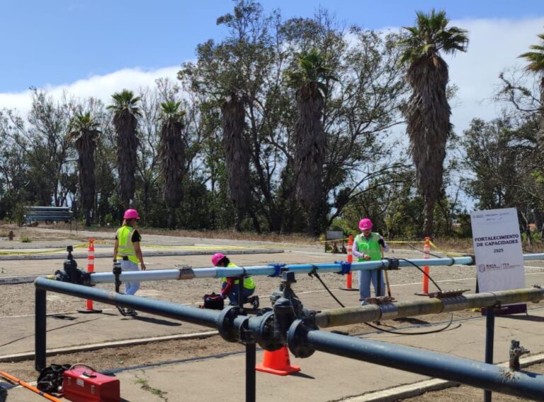 WhatsApp Image 2025-09-18 at 7.51.45 PM