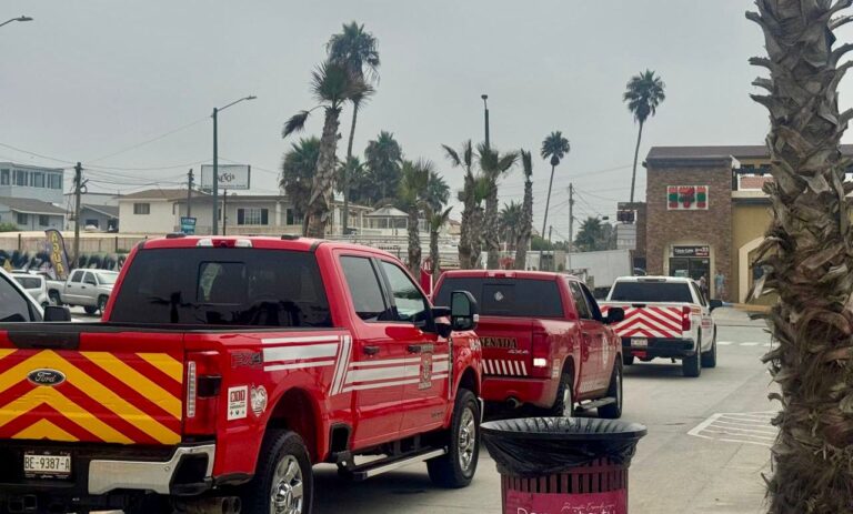 WhatsApp Image 2025-09-19 at 4.44.27 PM