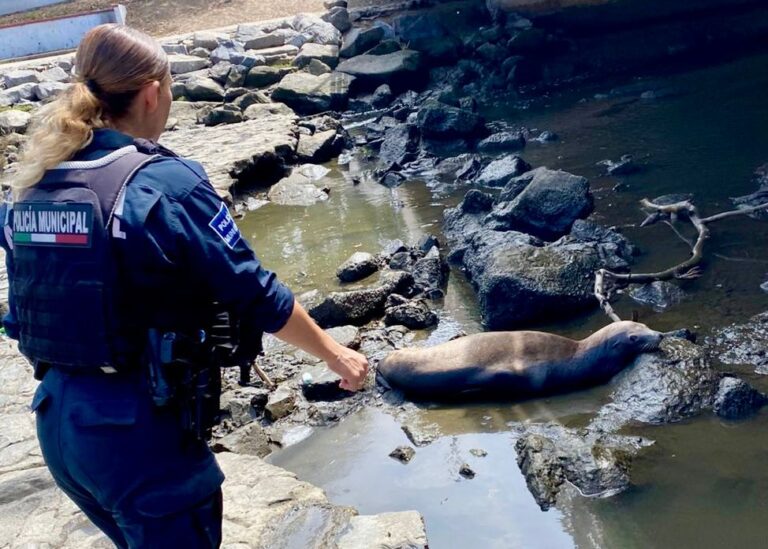 WhatsApp Image 2025-09-20 at 12.05.03 PM