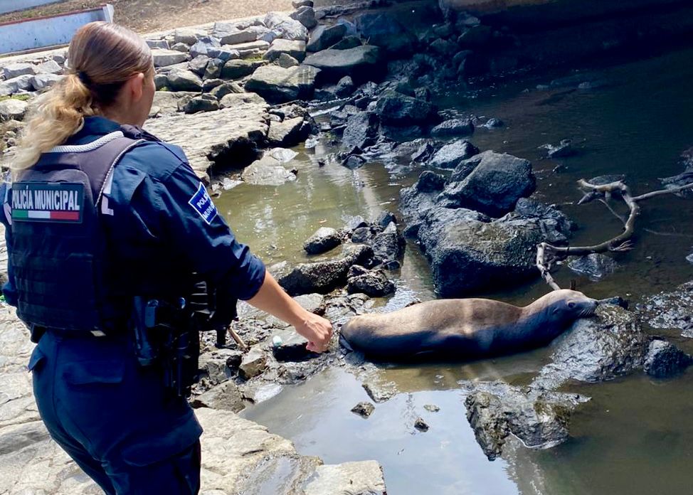 WhatsApp Image 2025-09-20 at 12.05.03 PM