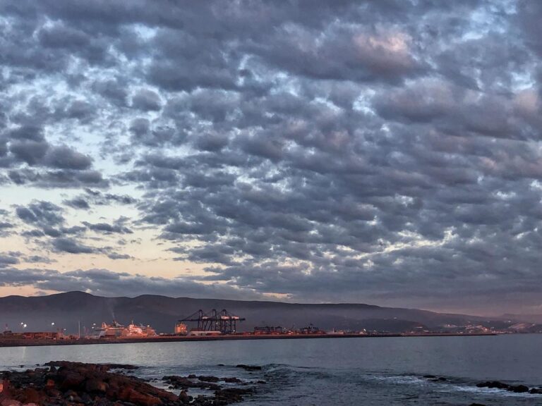 WhatsApp Image 2025-09-21 at 11.03.37 AM