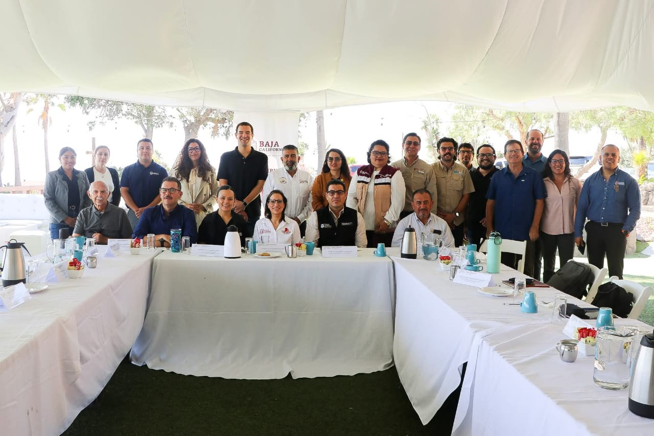 WhatsApp Image 2025-09-24 at 12.50.16 PM